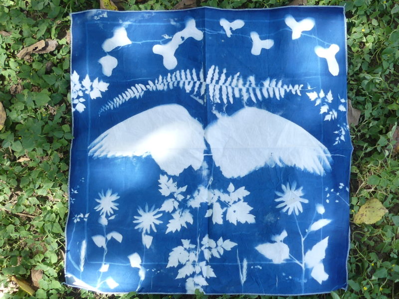 Cyanotype Bandana #5 - "Smilax"