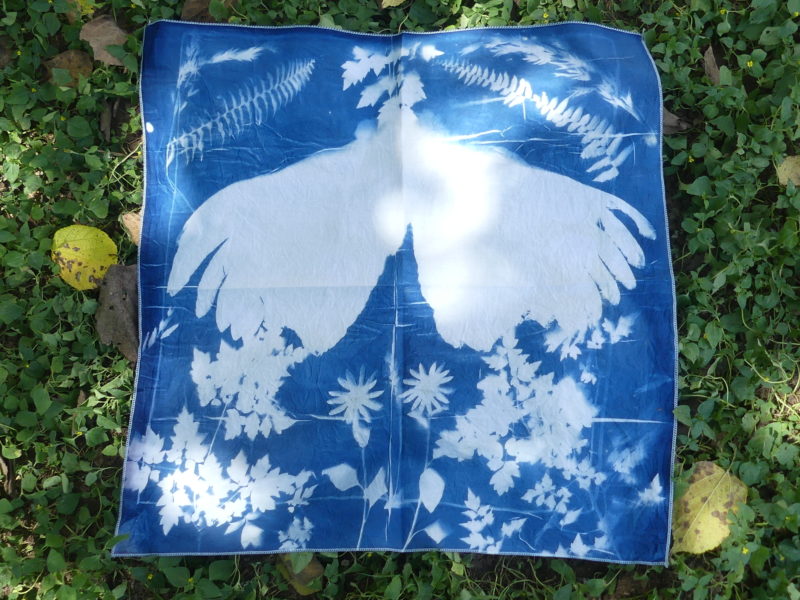 Cyanotype Bandana #2 - "King"